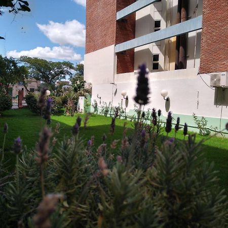 Quintana Hotel Сан-Луис Экстерьер фото